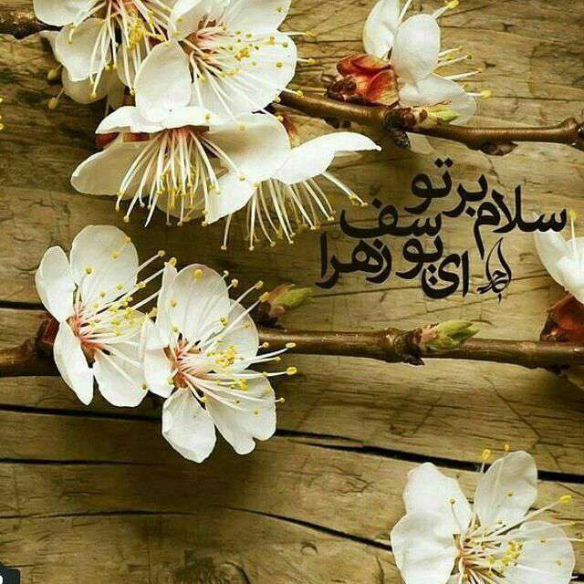 سلام برتو ای یوسف زهرا